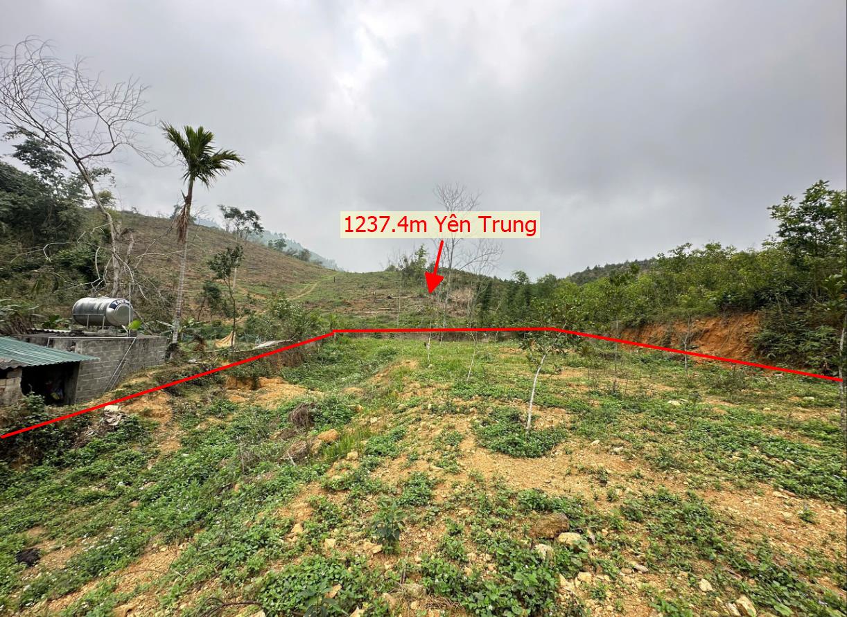 Hình ảnh Bán Lô Đất 1237.4m Tại Yên Trung Thạch Thất Bám Đường Bê Tông Ô Tô Vào Tận Đất Dân Đông Đúc Thân Thiện Dân Cư Đông Đúc Thân Thiện Giá Đầu Tư