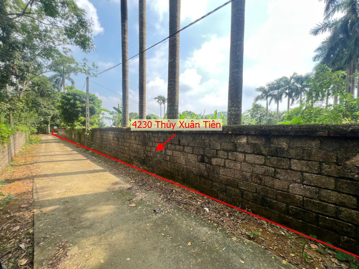 Hình ảnh Bán Thửa Đất 4230m Tại Thủy Xuân Tiên Ô Tô Đỗ Tận Đất Gần Đường Hồ Chính Minh (QL21A)