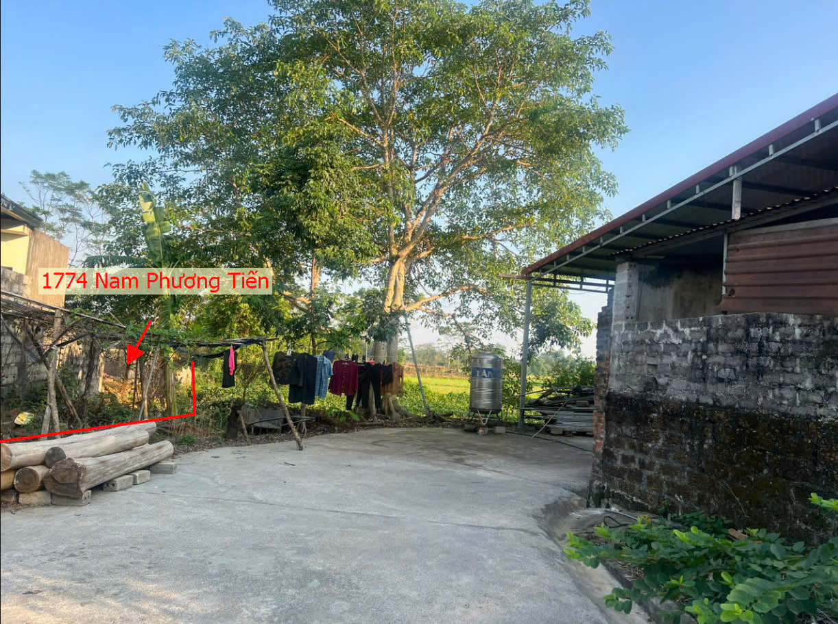 Hình ảnh Bán Đất Nam Phương Tiến Sát Trục Chính Kinh Doanh Ngay Gần Trung Tâm Xã Nam Phương Tiến