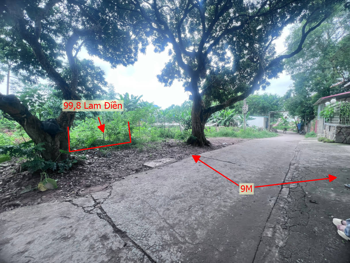 Hình ảnh Bán Đất Phân Lô Lam Điền Ngay Trung Tâm Xã Lam Điền Giá Nhỉnh Tỷ