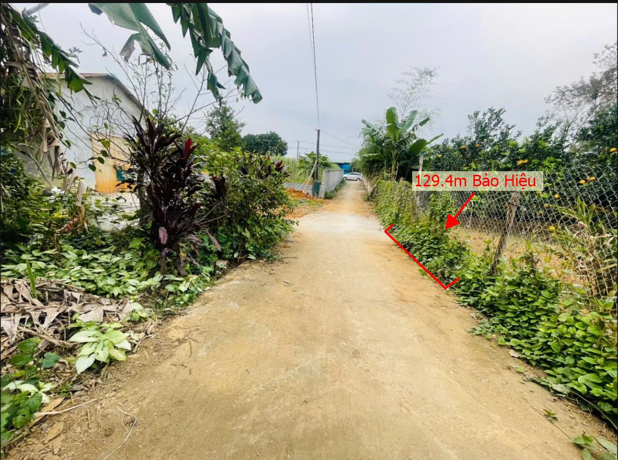 Hình ảnh Bán Đất Phân Lô Tại Bảo Hiệu Yên Thủy Bám ĐƯờng Bê Tông Ô Tô Vào Tận Đất Dân Cư Đông Đúc  Gần Chợ Trường Học ỦY Ban Giá Đầu Tư