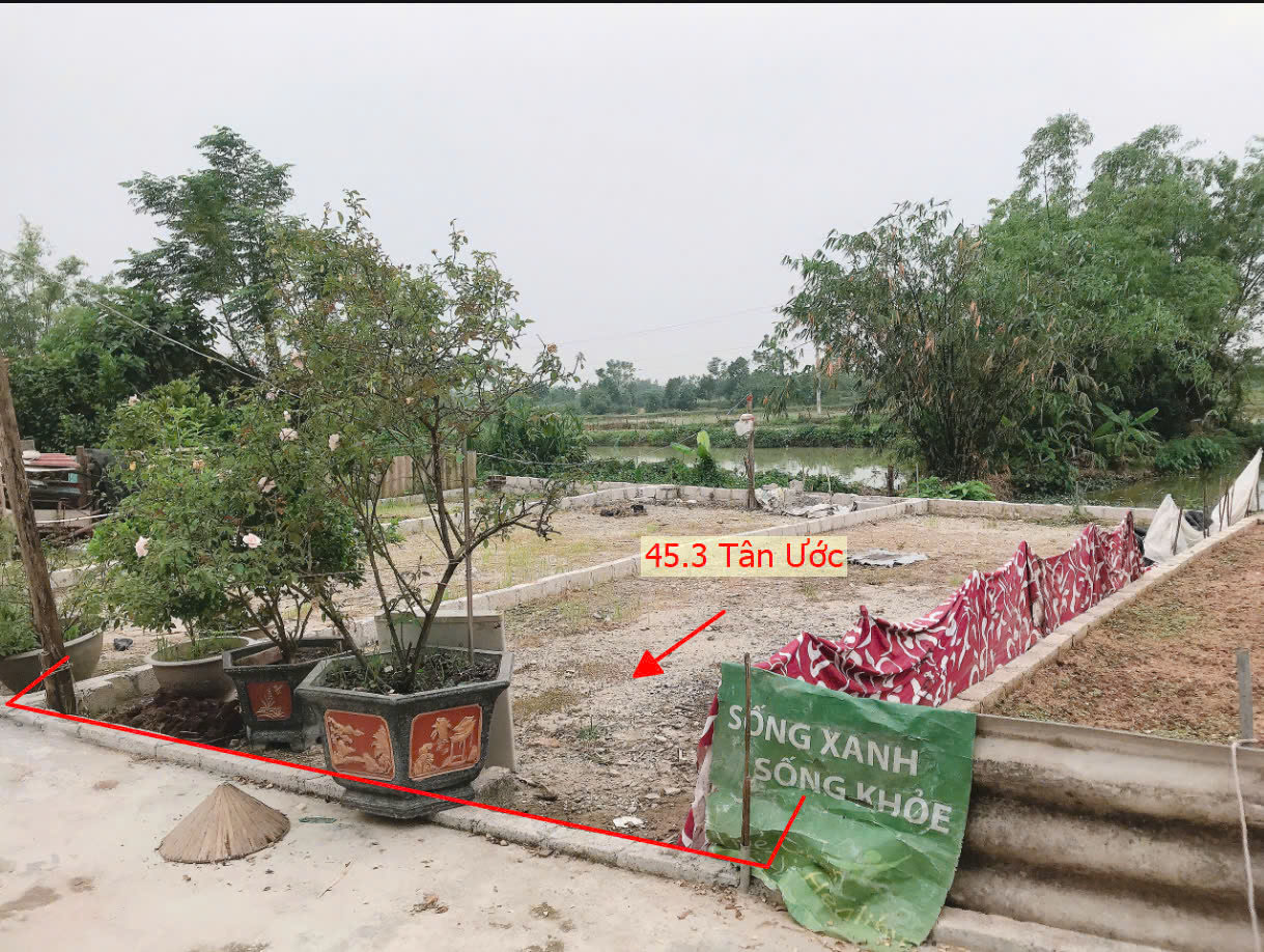 Hình ảnh Bán Đất Phân Lô Tân Ước Sát Trục Chính Kinh Doanh Liên Xã Ngay Trung Tâm Xã Tân Ước Giá Chỉ Hơn Tỷ 