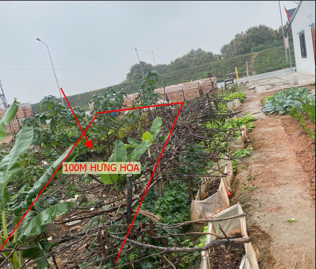 Hình ảnh Bán Lô Đất 100m Ở Hưng Hóa Tam Nông Bám Đường QL32 Giá Hơn 3 Tỷ