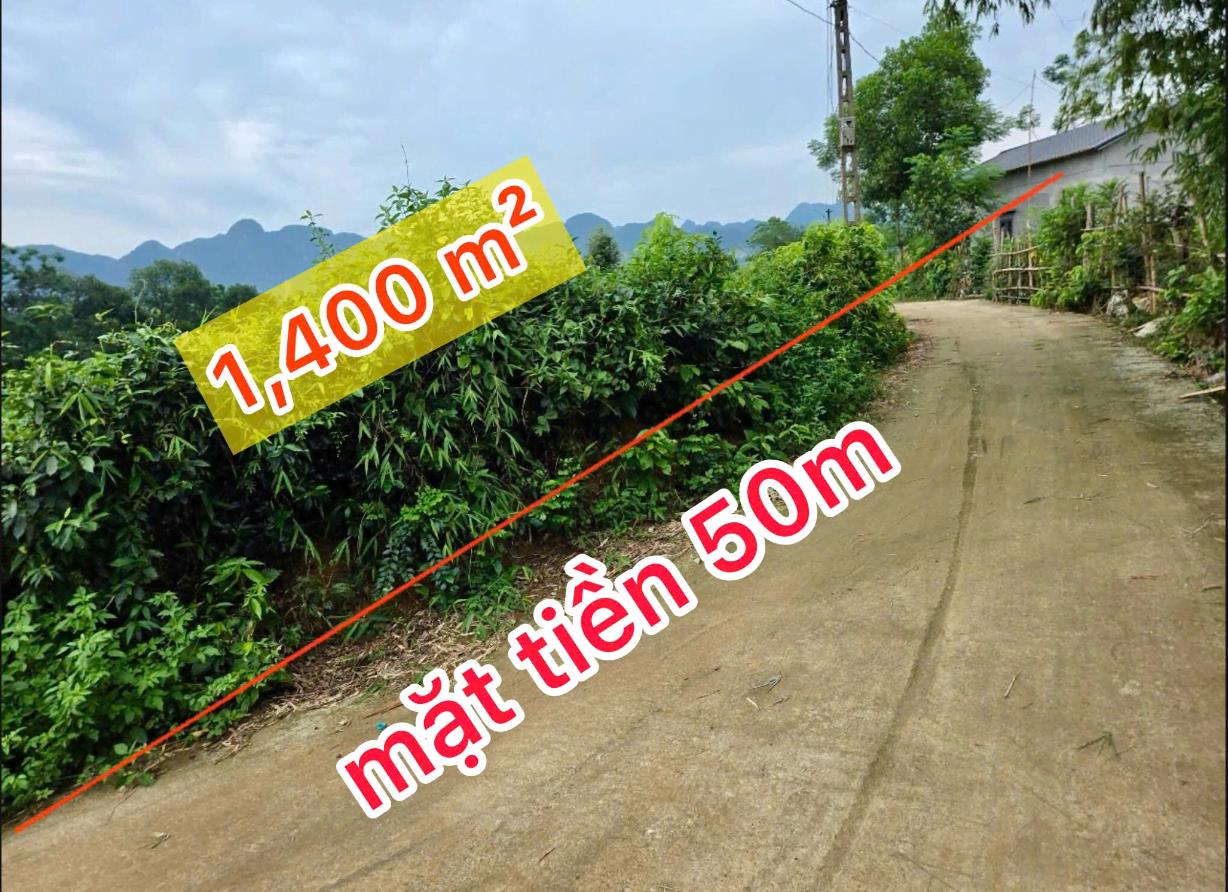 Hình ảnh Bán Lô Đất 1404.9m Tại Phú Thành Lạc Thủy Bám Đường Bê Tông Ô Tô Vào Tận Đất Dân Cư Đông Đúc Thân Thiện