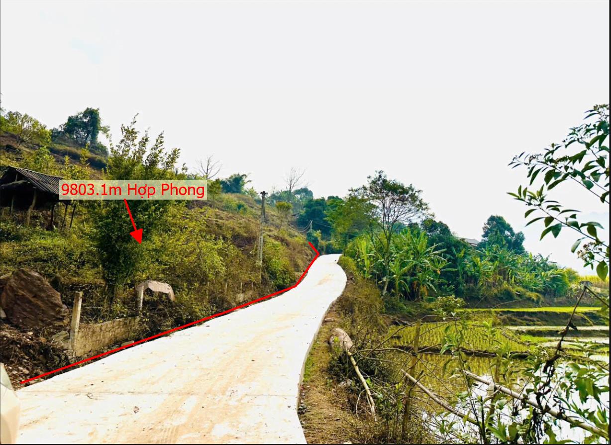 Hình ảnh Bán Lô Đất 9803.1m Tại Hợp Phong Cao Phong Bám Đường Bê Tông Ô Tô Vào Tận Đất Dân Cư Đông Đúc Giá Đông Đúc