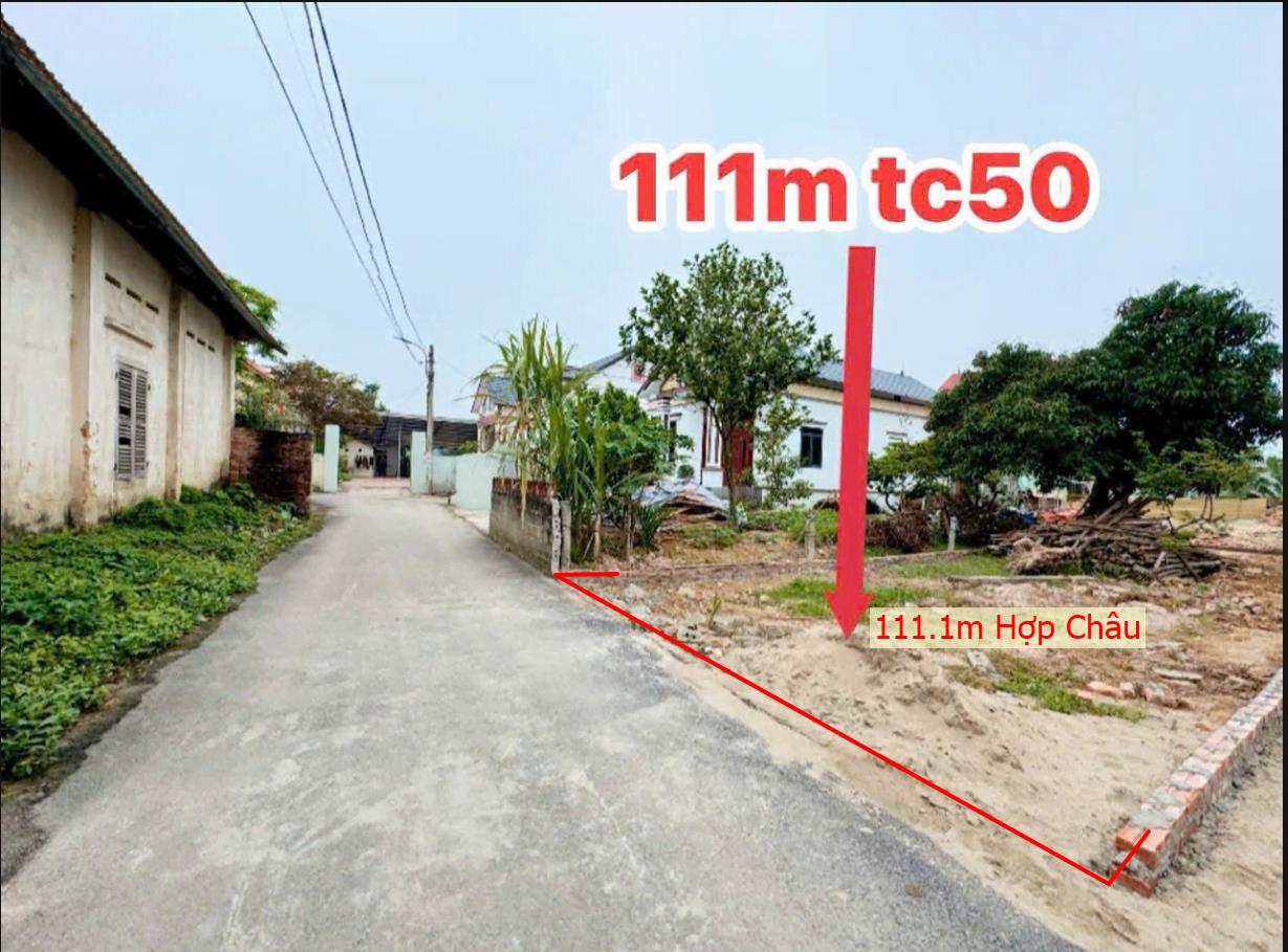 Hình ảnh Bán Lô Đất 111.1m Tại Hợp Châu Tam Đảo Bám Đường Bê Tông Ô Tô Vào Tận Đất Dân Cư Đông Đúc Giá Đầu Tư