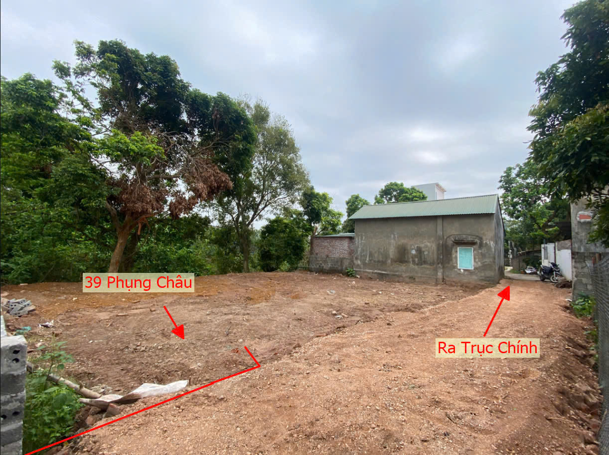 Hình ảnh Bán Đất Phụng Châu Gần Trục Chính Kinh Doanh Liên Huyện Ngay Trung Tâm Xã Phụng Châu