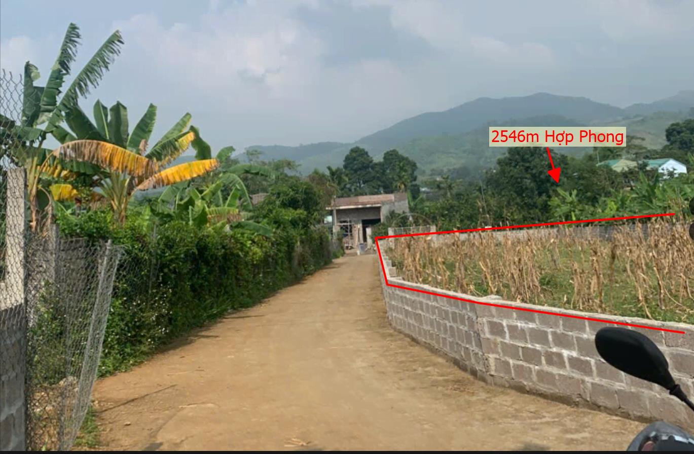 Hình ảnh Bán Lô Đất 2546m Tại Hợp Phong Cao Phong Bám Đường Bê Tông Ô Tô Vào Tận Đất Dân Cư Đông Phát Triển