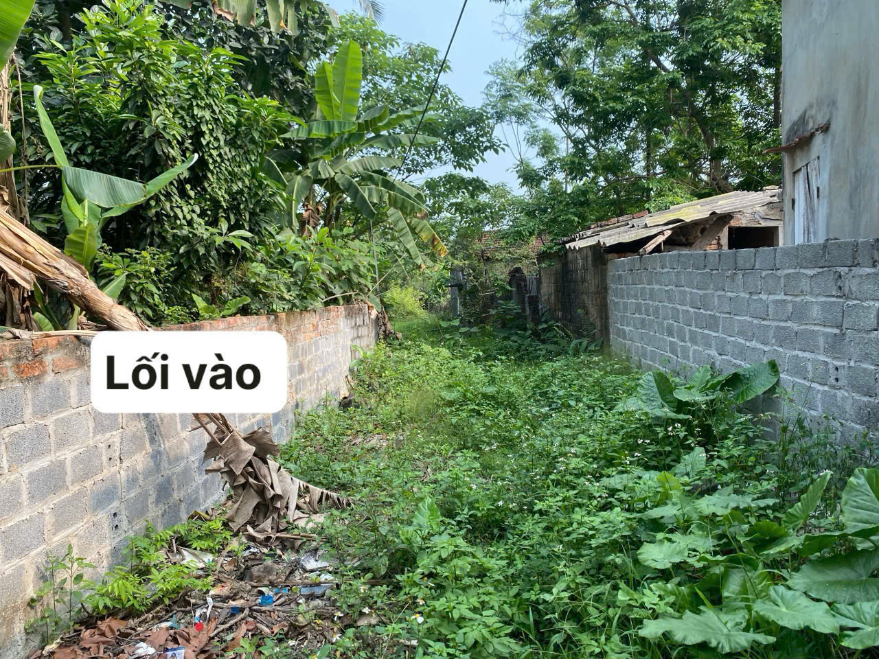 Hình ảnh Bất Động Sản Xuân Mai Bán Đất Khu Vực Thủy Xuân Tiên Gần Trục Chính Kinh Doanh Liên Xã Cách QL21A Chỉ Vài Trăm Mét