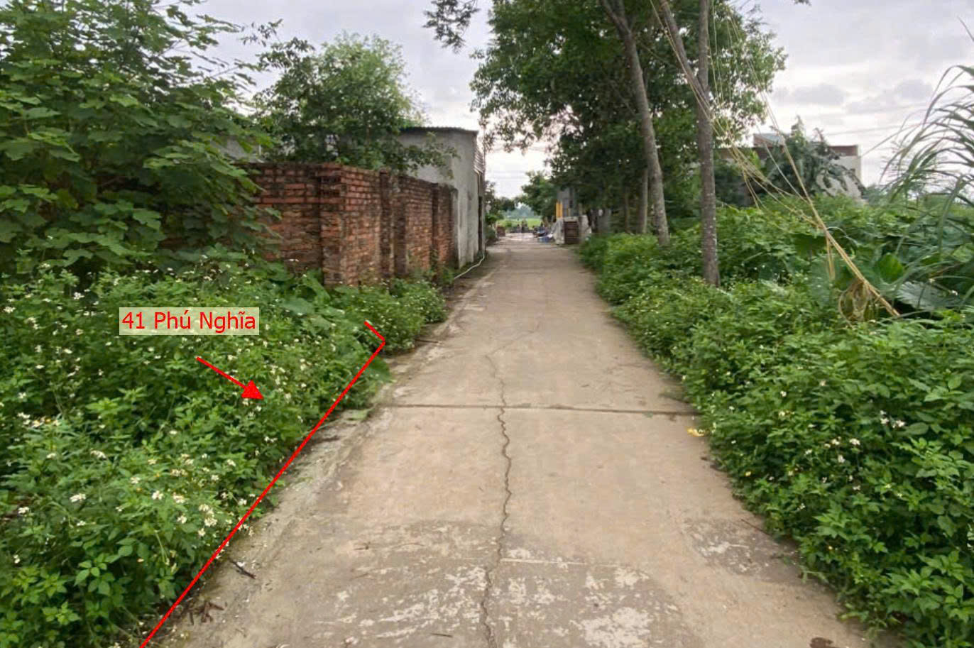 Hình ảnh Đất Phân Lô Xã Phú Nghĩa Ô Tô Đỗ Tận Đất Sát Trục Kinh Doanh Gần QL6A Đang Triển Khai Mở Rộng 