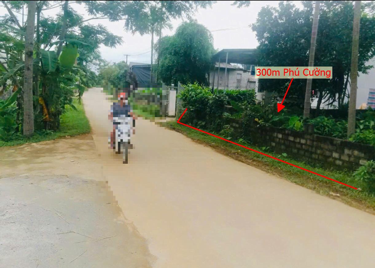 Hình ảnh Bán Lô Đất 300m Tại Phú Cường Tân Lạc Bám Đường Bê Tông Ô Tô Vào Tận Đất Dân Cư Đông Đúc Thân Thiện Giá Đầu Tư