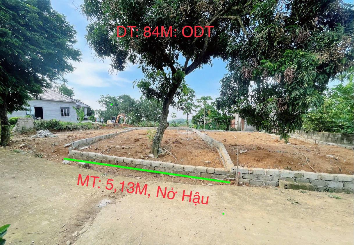 Hình ảnh Bán Lô Đất 84m Tại Ba Hàng Đồi Bám Đường Bê Tông Ô Tô Vào Tận Đất Dân Cư Đông Đúc Sổ Đỏ Pháp Lý Rõ Ràng Giá Đầu Tư