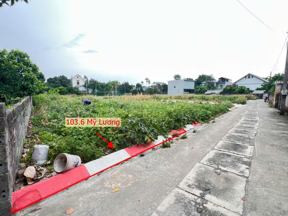 Hình ảnh Bất Động Sản Trần Phú Bán Đất Phân Lô Khu Vực Mỹ Lương Đường Thông Ô Tô Gần Mặt Đường Kinh Doanh Nguyễn Văn Trỗi