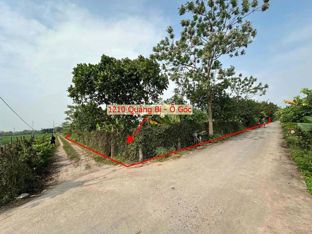 Hình ảnh Bất Động Sản Quảng Bị Bán Lô Đất 2 Mặt Tiền 1210m Tại Quảng Bị Đường Thông Ô Tô Gần Trục Đường TL419