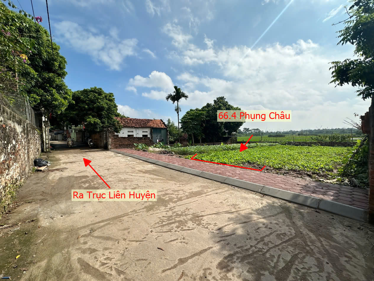 Hình ảnh Nhỉnh Tỷ Sở Hữu Lô Đất Phân Lô Tại Phụng Châu Chương Mỹ Ô Tô Vào Tận Đất