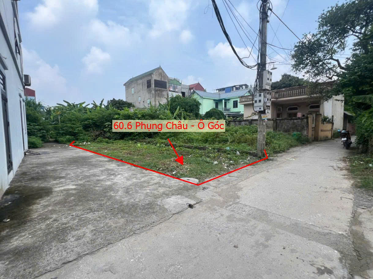 Hình ảnh Bán Lô Góc 2 Mặt Thoáng 60.6m Full Thổ Cư Tại Phụng Châu Đường Thông Ô Tô Sát Trục Chính Liên Huyện