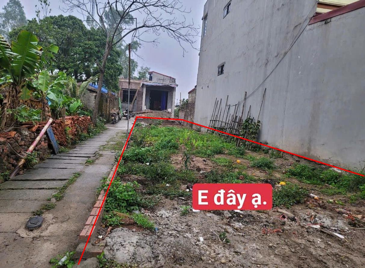 Hình ảnh Bán Lô Đất 129.5m Tại TT Lương Bằng Kim Động Bám Đường Bê Tông Ô Tô Vào Tận Đất Dân Cư Đông Đúc Thân Thiện Giá Đầu Tư