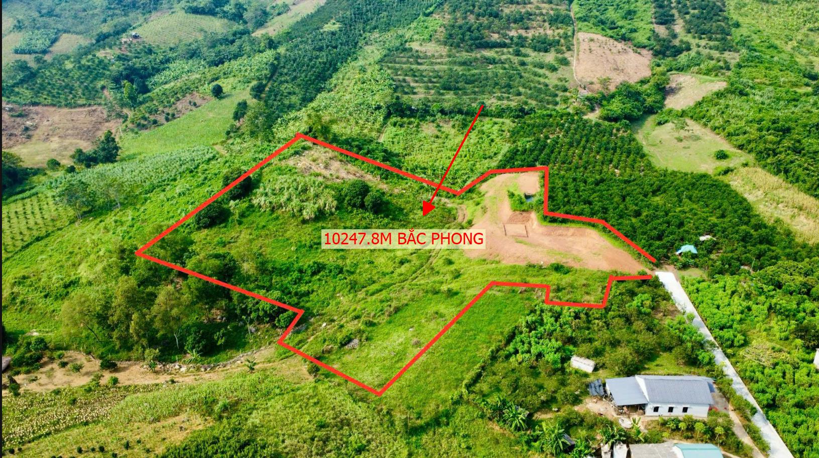 Hình ảnh Bán Lô Đất 10247.9m Tại Bắc Phong Cao Phong Ô Tô Vào Tận Đất View Thoáng Mát