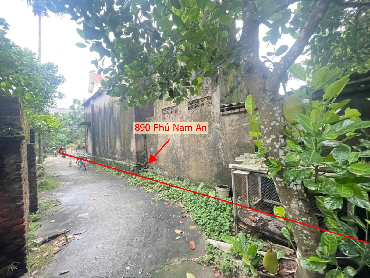 Hình ảnh Bất Động Sản Hòa Phú Bán Đất Khu Vực Phú Nam An Gần Trục Chính Kinh Doanh Liên Xã 