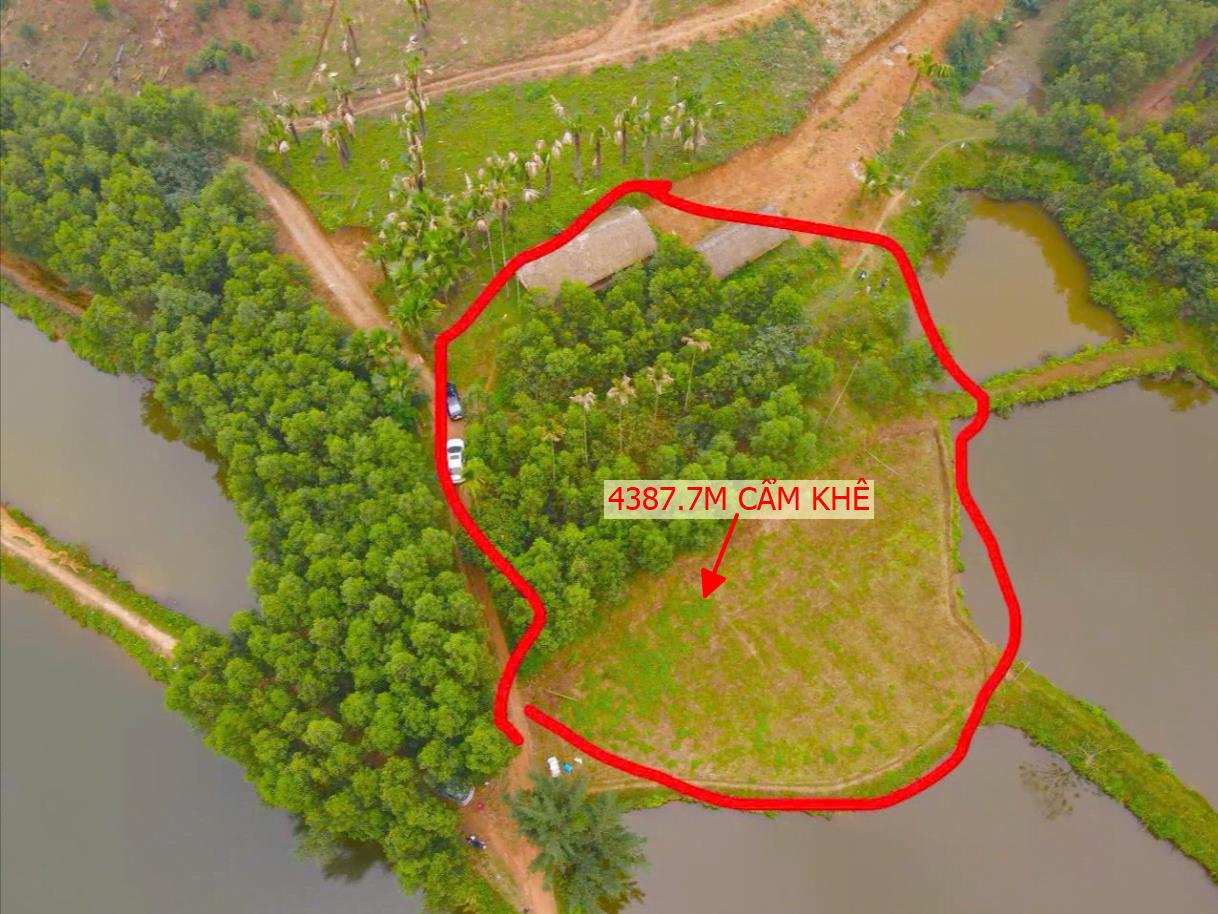Hình ảnh Bán Lô Đất Ngỉ Dưỡng 4384.7m Tại Cẩm Khê Thế Đất Cao Bám Hồ Tự Nhiên Không Gian Thoáng Khí Hậu Mát Mẻ Cách Đường Liên Xã 500m Giá Đầu Tư