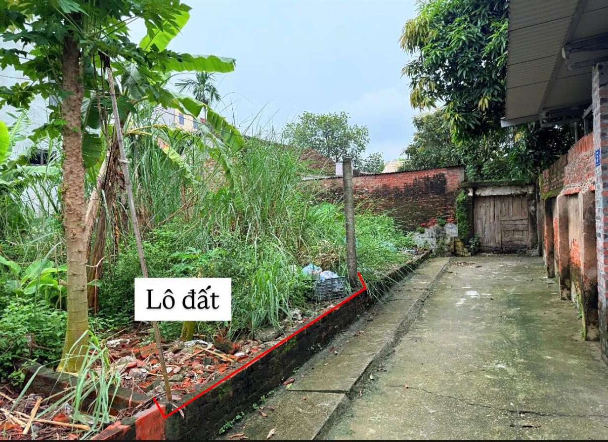 Hình ảnh Bán Lô Đất 52m Tại Phụng Thượng Phúc Thọ Bám Đường Bê Tông Ô Tô Vào Tận Đất Dân Cư Đông Đúc Thân Thiện Giá Đầu Tư