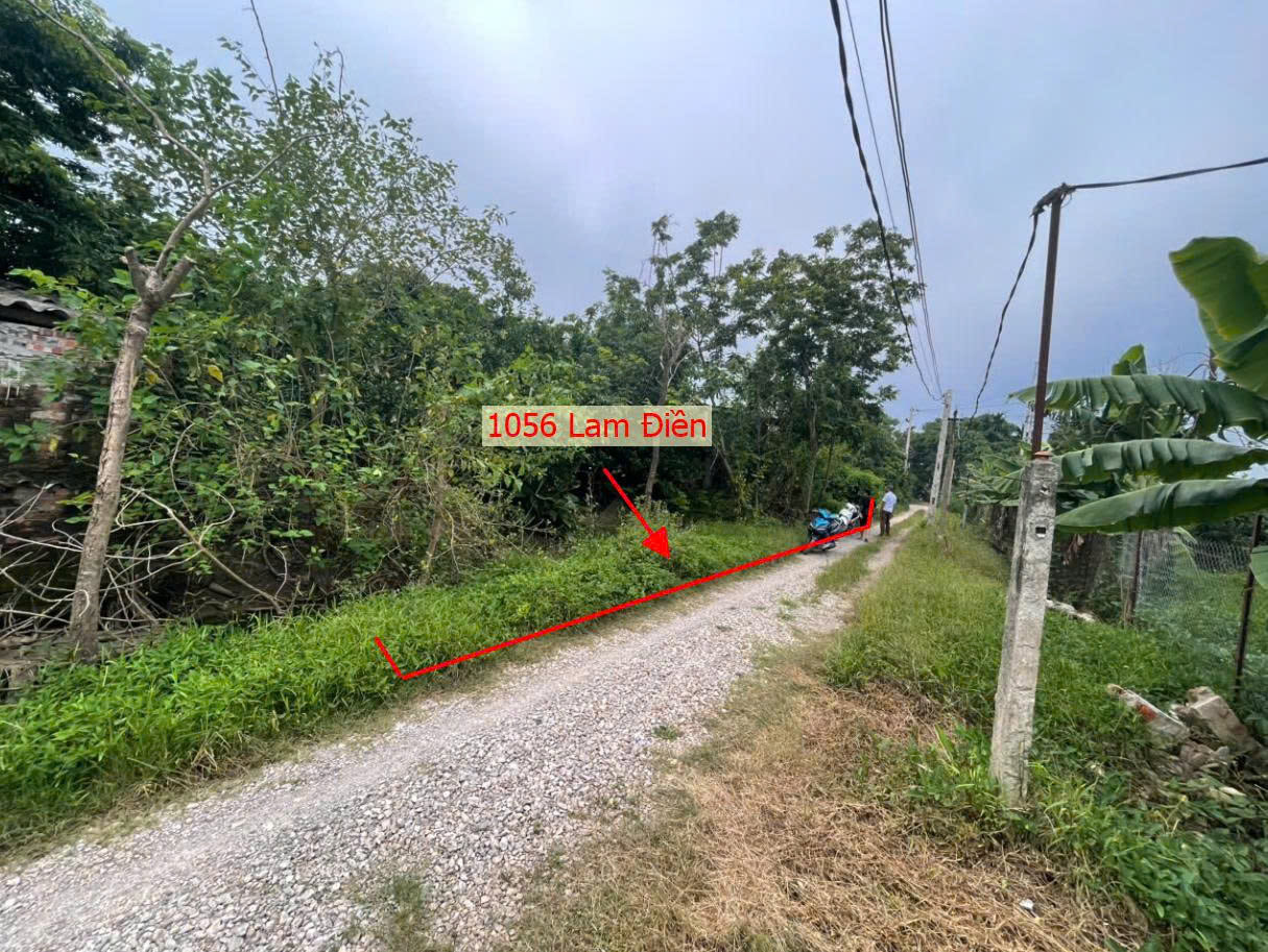Hình ảnh Bán Thửa Đất Nông Nghiệp 1056m Tại Lam Điền Chương Mỹ Ô Tô Đỗ Tận Đất Giá Chỉ Hơn Tỷ 