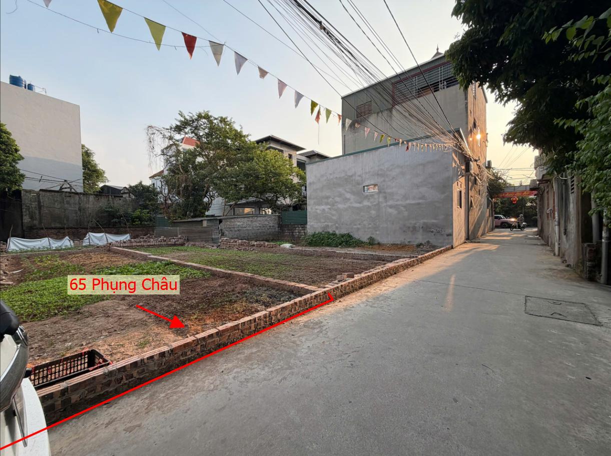 Hình ảnh Bất Động Sản Chương Mỹ Bán Đất Khu Vực Phụng Châu Ô Tô Đỗ Tận Đất Gần Trục Chính Kinh Doanh Liên Xã 