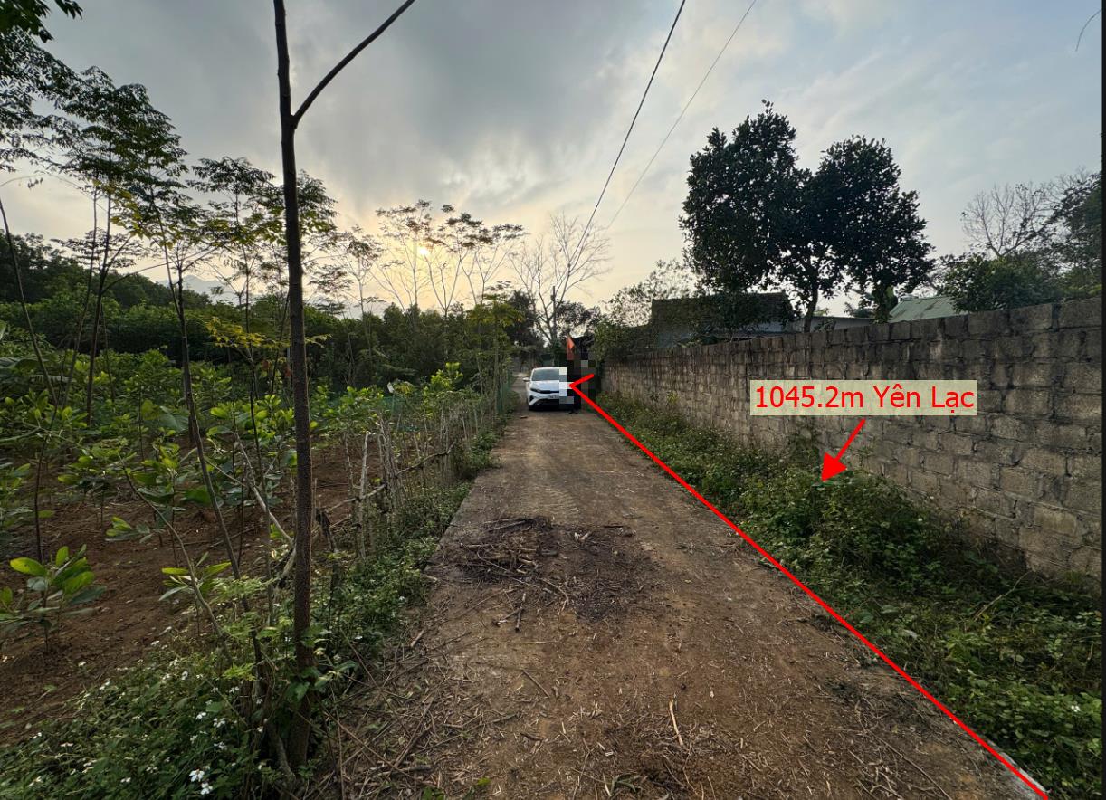Hình ảnh Bán Lô Đất 1045.2m Tại Yên Lạc Yên Thủy Bám Đường Bê Tông Ô Tô Vào Tận Đất Phì Hợp Phân Lô Nghỉ Dưỡng  Sổ Đỏ Pháp Lý Rõ Ràng Giá Đầu Tư