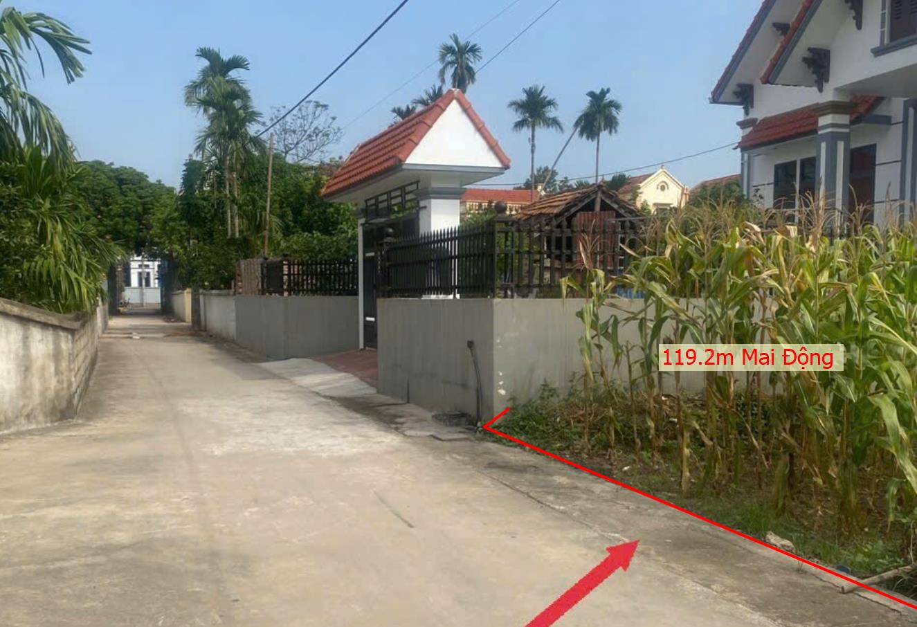 Hình ảnh Bán Lô Đất 119.2m Tại Mai Động Kim Động Bám Đường Bê Tông Ô Tô Vào Tận Đất Dân Cư Đông Đúc Thân Thiện Gần Chợ Trường Học Ủy Ban Giá Đầu Tư