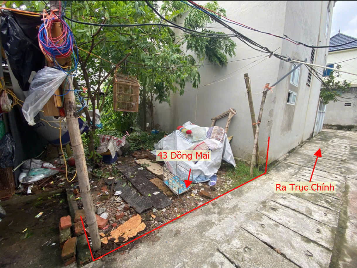 Hình ảnh Bán Đất Đồng Mai Gần Trục Kinh Doanh Ngay Sát Khu Dịch Vụ Sinh Thái Đồng Mai  