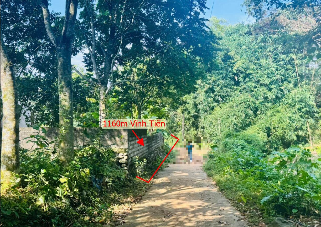 Hình ảnh Bán Lô Đất 1160m Tại Kim Bôi Bám Đường Bê Tông Ô Vào Tận Đất Dân Cư Đông Đúc Bám Suối Thoáng Mát Sẵn Nhà Chỉ Việc Về Ở Giá Đầu Tư