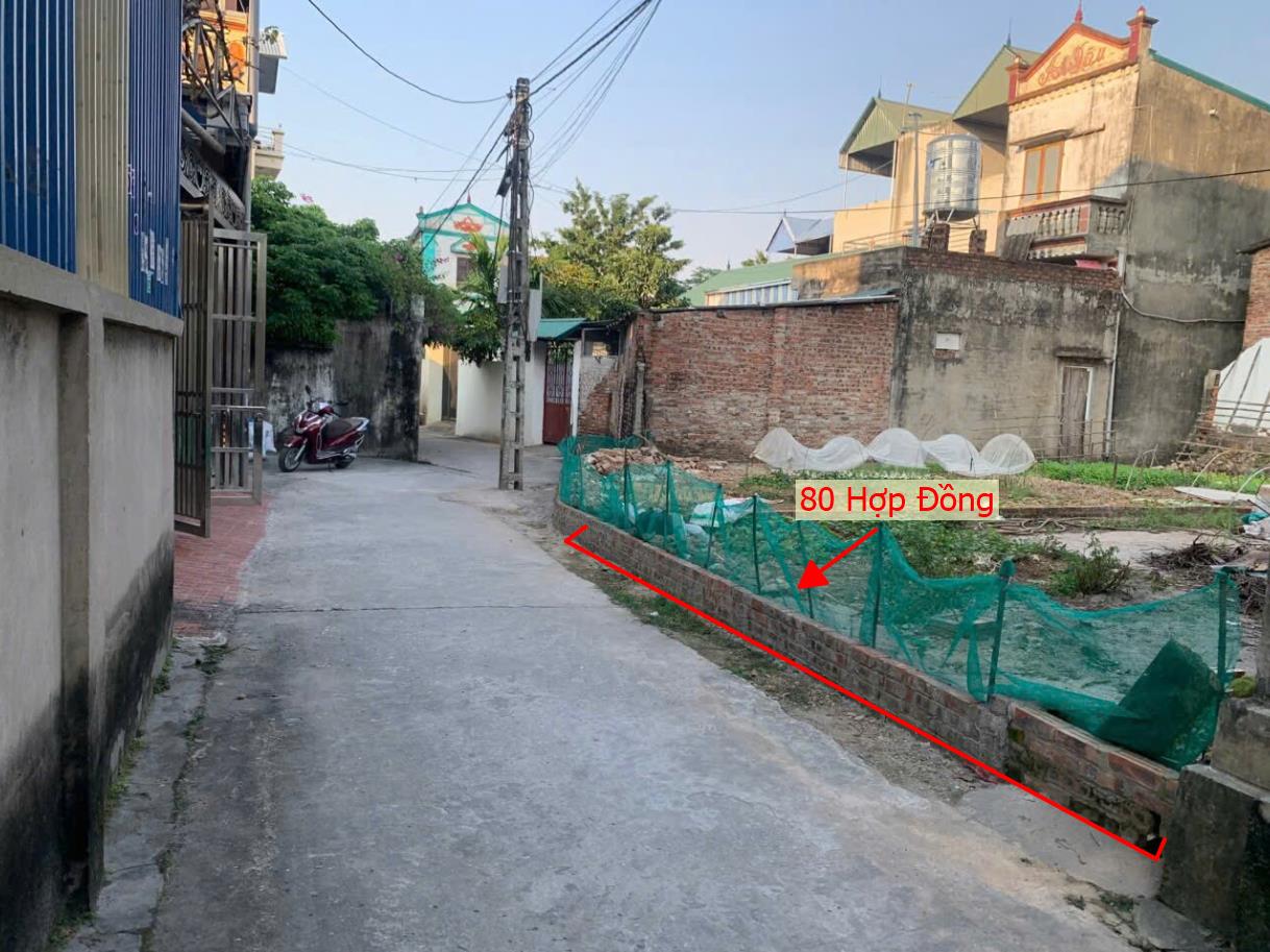 Hình ảnh Bán Đất Full Thổ Cư 80m Tại Hợp Đồng Ô Tô Đỗ Tận Đất Sát Mặt Đường Kinh Doanh TL419