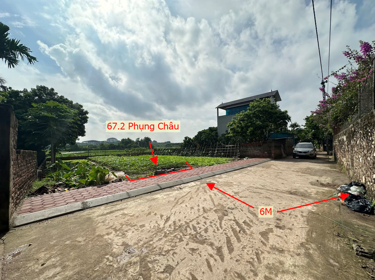 Hình ảnh Bán Đất Phân Lô Phụng Châu Chương Mỹ Ô Tô Vào Tận Đất Gần Trục Chính Liên Huyện