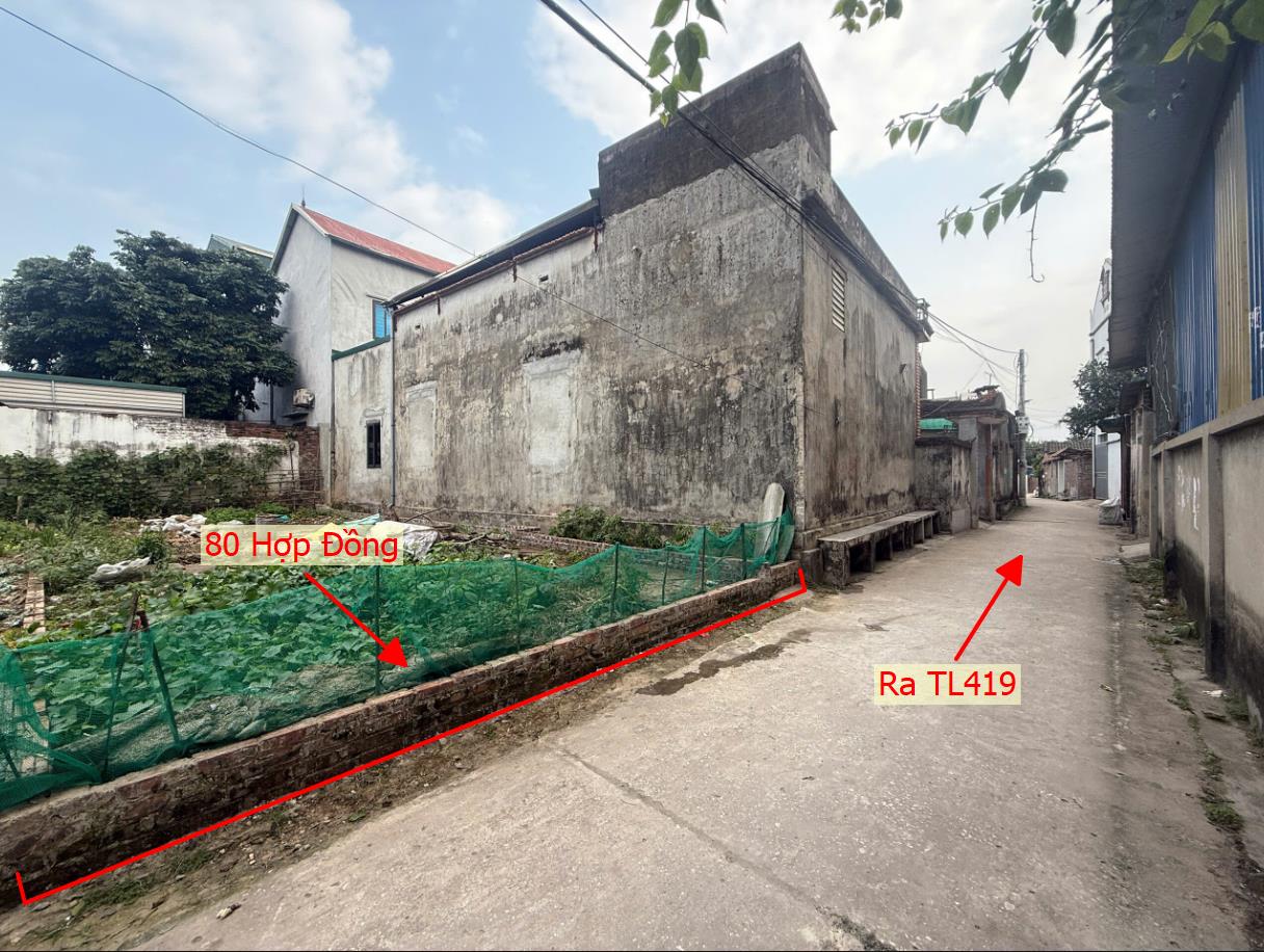 Hình ảnh Bán Đất Full Thổ Cư 80m Tại Hợp Đồng Ô Tô Đỗ Tận Đất Sát Mặt Đường Kinh Doanh TL419