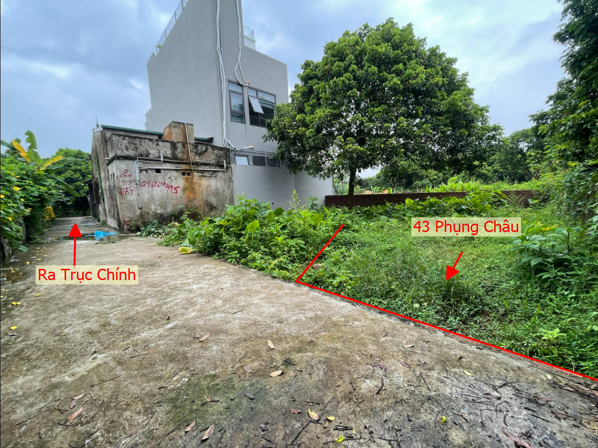 Hình ảnh Bán Đất Full Thổ Cư Ngay Gần Trung Tâm Xã Phụng Châu Giá Nhỉnh Tỷ 