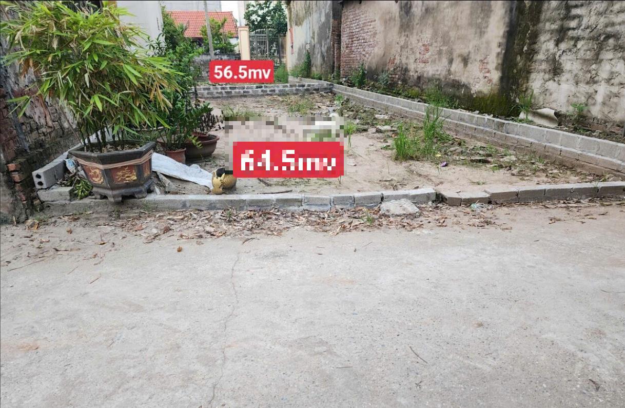 Hình ảnh Bán Lô Đất 56.5m Tại Đồng Thanh Kim Động Bám Đường Bê Tông Ô Tô Vào Tận Đất Dân Cư Đông Đúc Thân Thiện Giá Đầu Tư