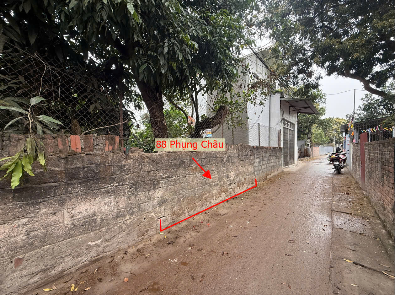 Hình ảnh Bán Thửa Đất Full Thổ Cư 88m Tại Phụng Châu Chương Mỹ Gần Trục Chính Kinh Doanh Liên Huyện 