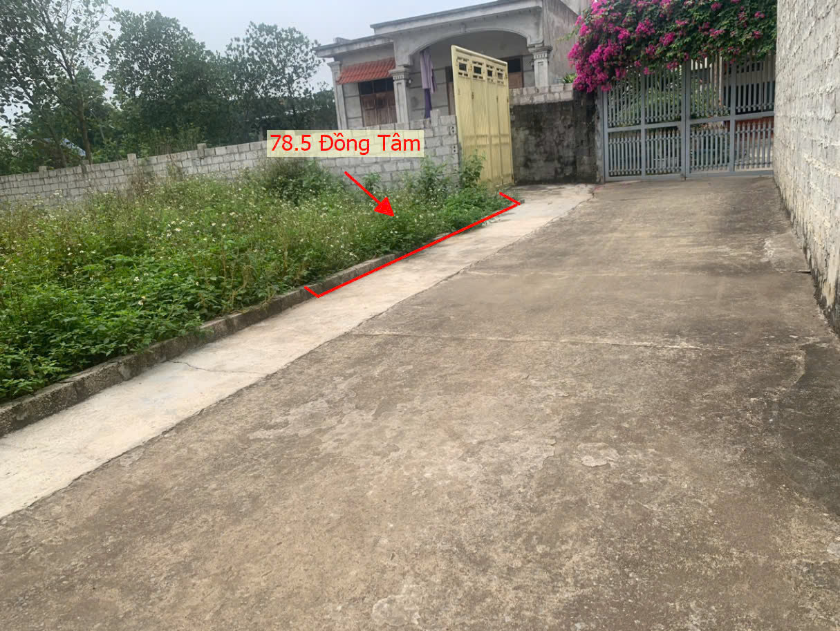 Hình ảnh Bán Đất Đồng Tâm Ô Tô Vào Tận Đất Gần Mặt Đường Kinh Doanh TL429 Giá Chưa Đến Tỷ