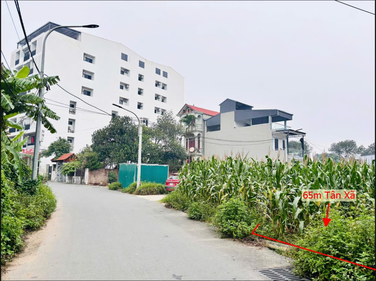 Hình ảnh Bán Lô Đất 65m Tại Tân Xã Thạch Thất Bám Đường Bê Tông Ô Tô Vào Tận Đất Dân Cư Đông Đúc Thân Thiện Gần Chợ Trường Học Ủy Ban Giá Đầu Tư