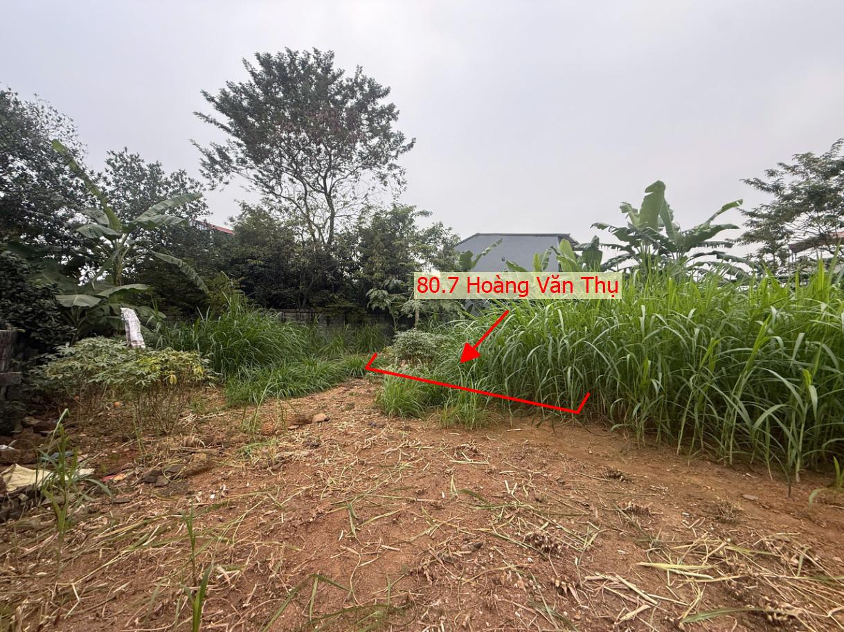 Hình ảnh Bán Đất Phân Lô Hoàng Văn Thụ Sát Trục Chính Kinh Doanh Liên Xã Giá Chỉ Hơn Tỷ - Đất Phân Lô Chương Mỹ