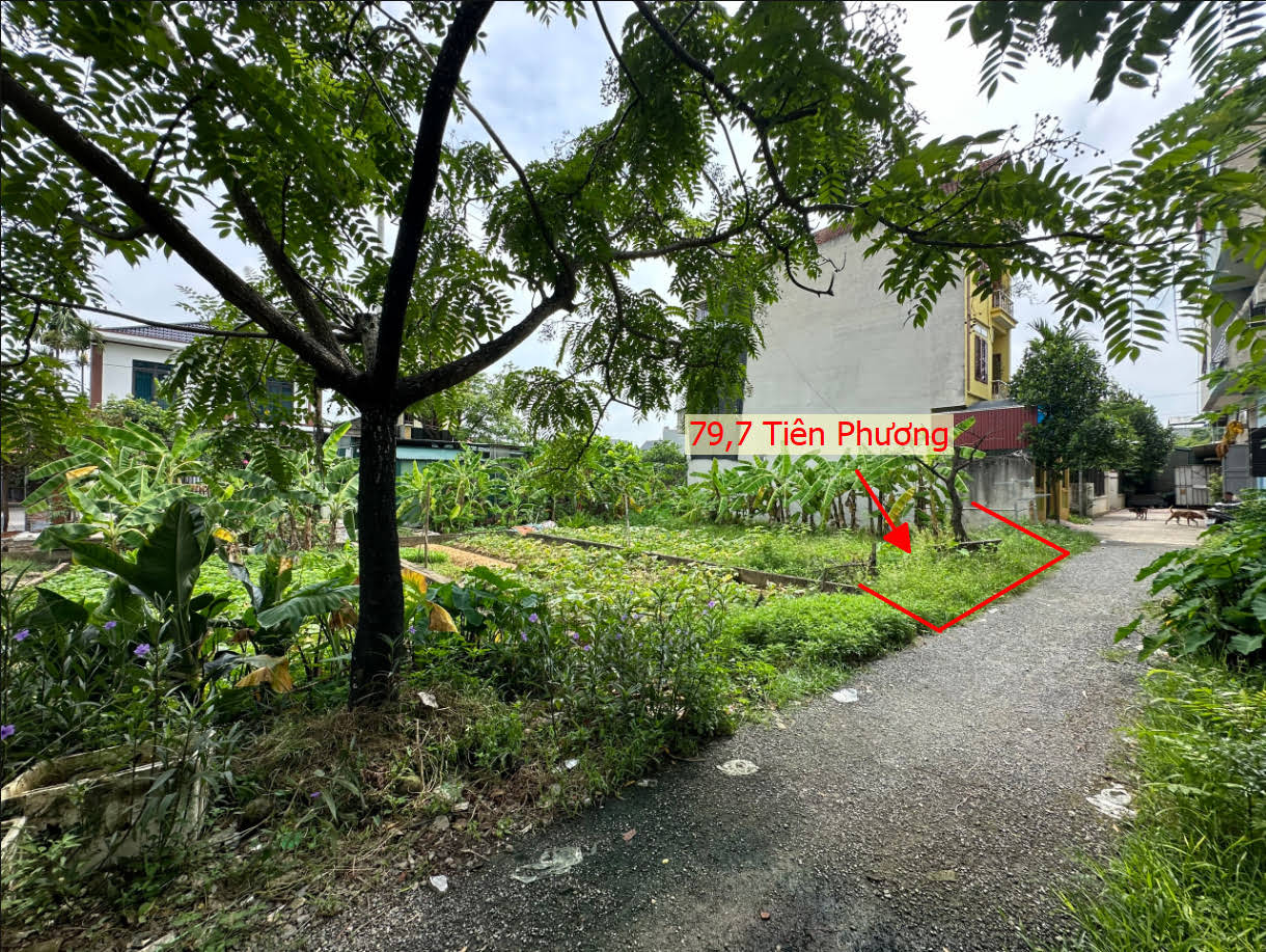 Hình ảnh Bán Đất Tiên Phương Full Thổ Cư Ngay Sát Trục Chính Liên Xã Ô Tô Vào Tận Đất 