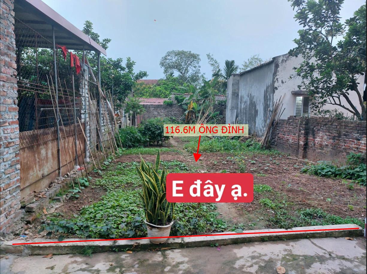 Hình ảnh Bán Lô Đất 116.6m Tại Ông Đình Khoái Châu Bám Đường Bê Tông Ô Tô Vào Tận Đất Dân Cư Đông Gần CHợ Trường Học Ủy Ban Giá Đầu 
