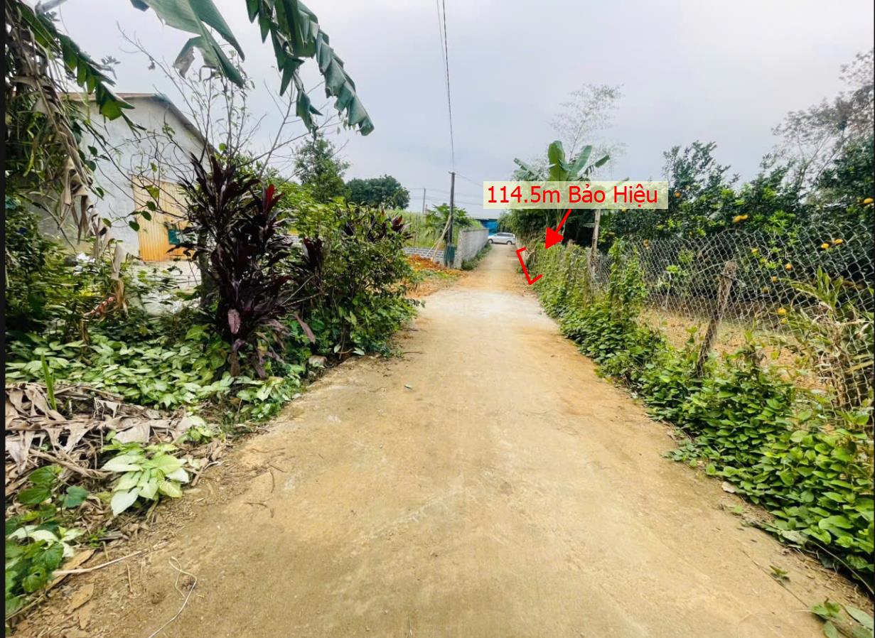Hình ảnh Bán Đất Phân Lô Tại Bảo Hiệu Yên Thủy Bám ĐƯờng Bê Tông Ô Tô Vào Tận Đất Dân Cư Đông Đúc  Gần Chợ Trường Học ỦY Ban Giá Đầu Tư