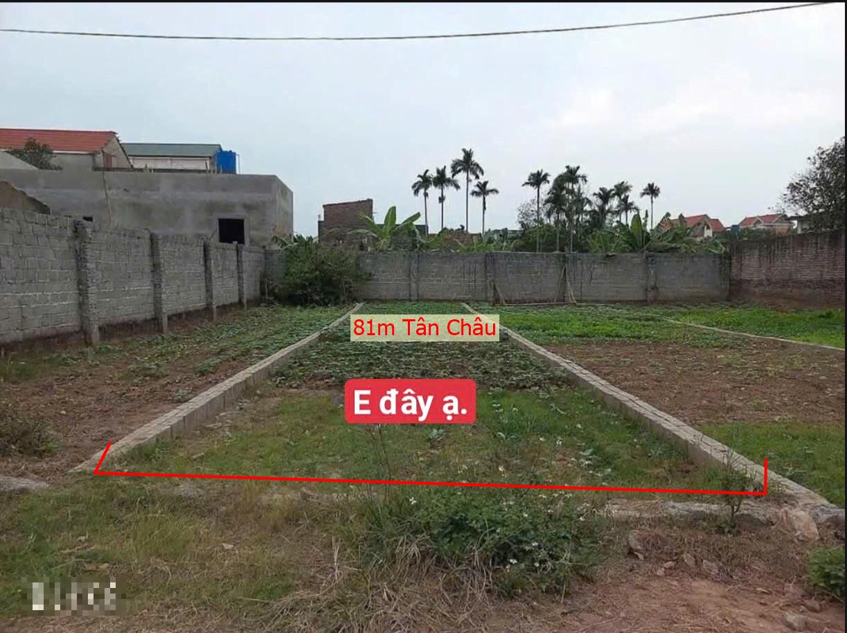 Hình ảnh Bán Lô Đất 81m Tại Tân Châu Khoái Châu Bám Đường Bê Tông Ô Tô Vào Tận Đất Dân Cư Đông Đúc  Thân Thiện Giá Đầu Tư