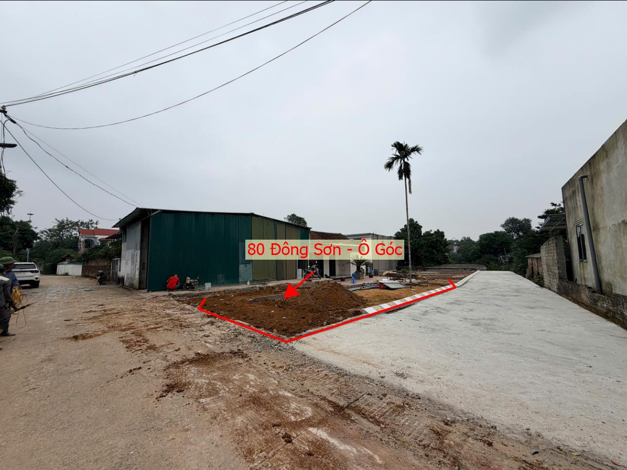 Hình ảnh Đất Phân Lô Quyết Hạ Phú Nghĩa (Đông Sơn Cũ) Ô Tô Đỗ Tận Đất Gần Trục Kinh Doanh Giá Đầu Tư