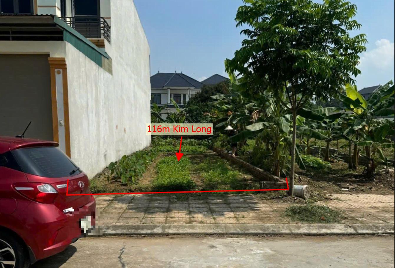 Hình ảnh Bán Lô Đất 116m Tại Kim Long Tam Dương Bám Đường Bê Tông Ô Tô vào Tận Đất Dân Cư Đông Đúc Thân Thiện Giá Đầu Tư