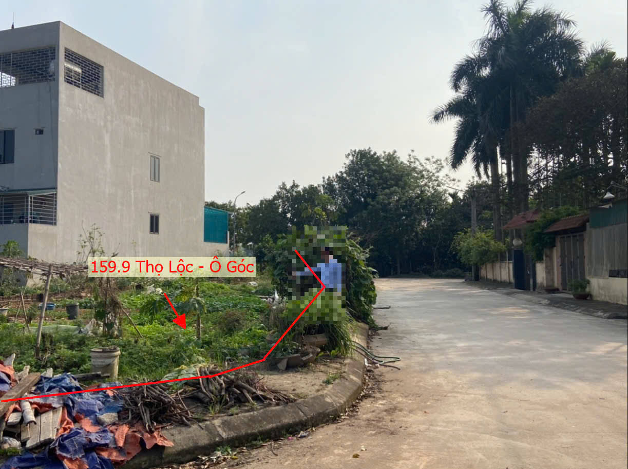 Hình ảnh Bán Lô Góc 2 Mặt Tiền Ô Tô Vào Tận Đất Thuộc Khuh Đấu Giá Đồng Phươm Thọ Lộc (TT1-24)