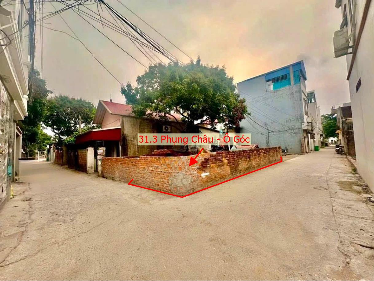 Hình ảnh Bất Động Sản Chương Mỹ Bán Đất Khu Vực Phụng Châu Lô Góc 2 Mặt Tiền Đường Thông Ô Tô Ngay Gần Trường Đại Học TDTT