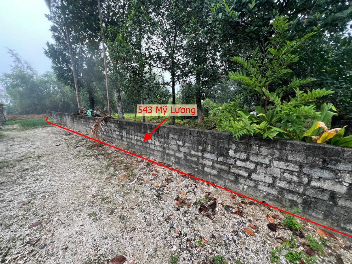 Hình ảnh Bán Thửa Đất 534m Tại Mỹ Lương Sẵn Nhà Cấp 4 Ô Tô Đỗ Tận Đất Gần Trục Chính Liên Xã 