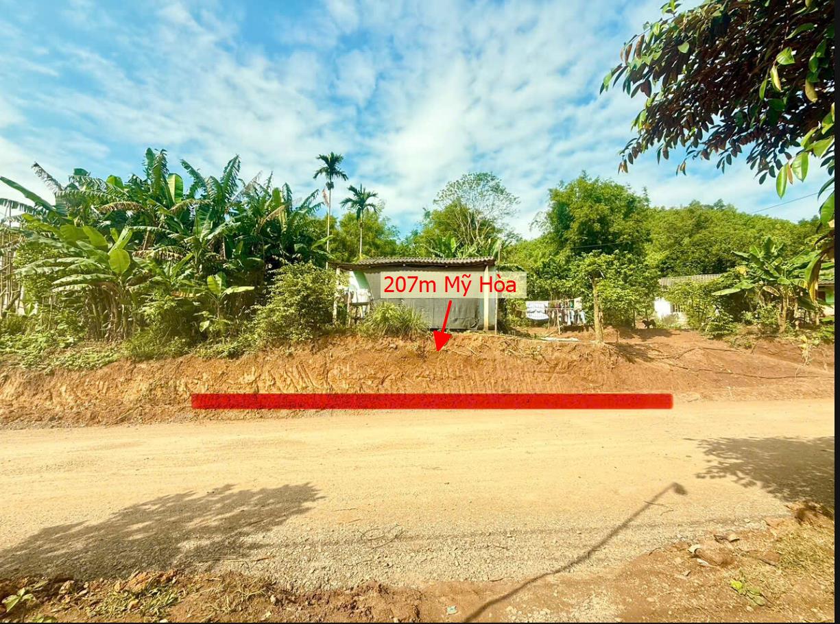 Hình ảnh Bán Lô Đất 973.3m Tại Mỹ Hòa Tân Lạc Bám Đường Bê Tông Ô Tô Vào Tận Đất Dân Cư Đông Đúc Thân Thiện Gần Chợ Trường Học Giá Đầu Tư